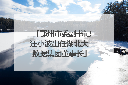 鄂州市委副书记汪小波出任湖北大数据集团董事长